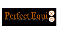 Perfect Equi