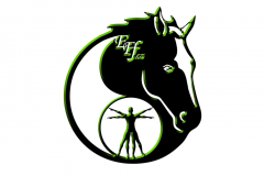 Eques Fyziofitness