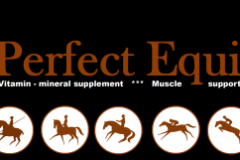 perfrect_equi-logo
