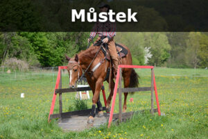Můstek