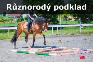Různorodý podklad