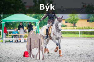 Býk