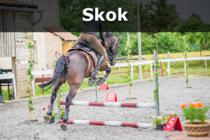 Skok