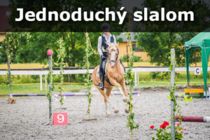 Jednoduchý slalom