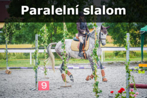 Paralelní slalom