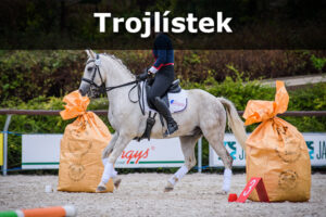 Trojlístek