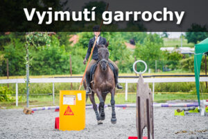 Vyjmutí garrochy